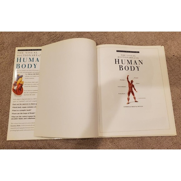 Eyewitness Visual Dictionaries: the Visual Dictionary of the Human Body by DK... - Picture 5 of 14